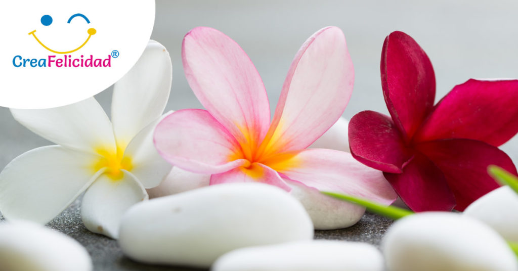 mente caracter felicidad creafelicidad