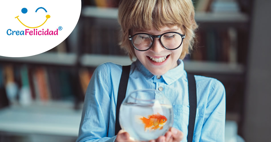 tips ser feliz bogota creafelicidad