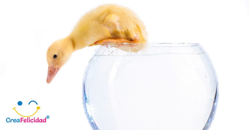 creafelicidad emociones pnl