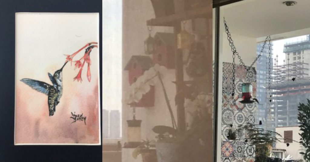 blog colibri felicidad