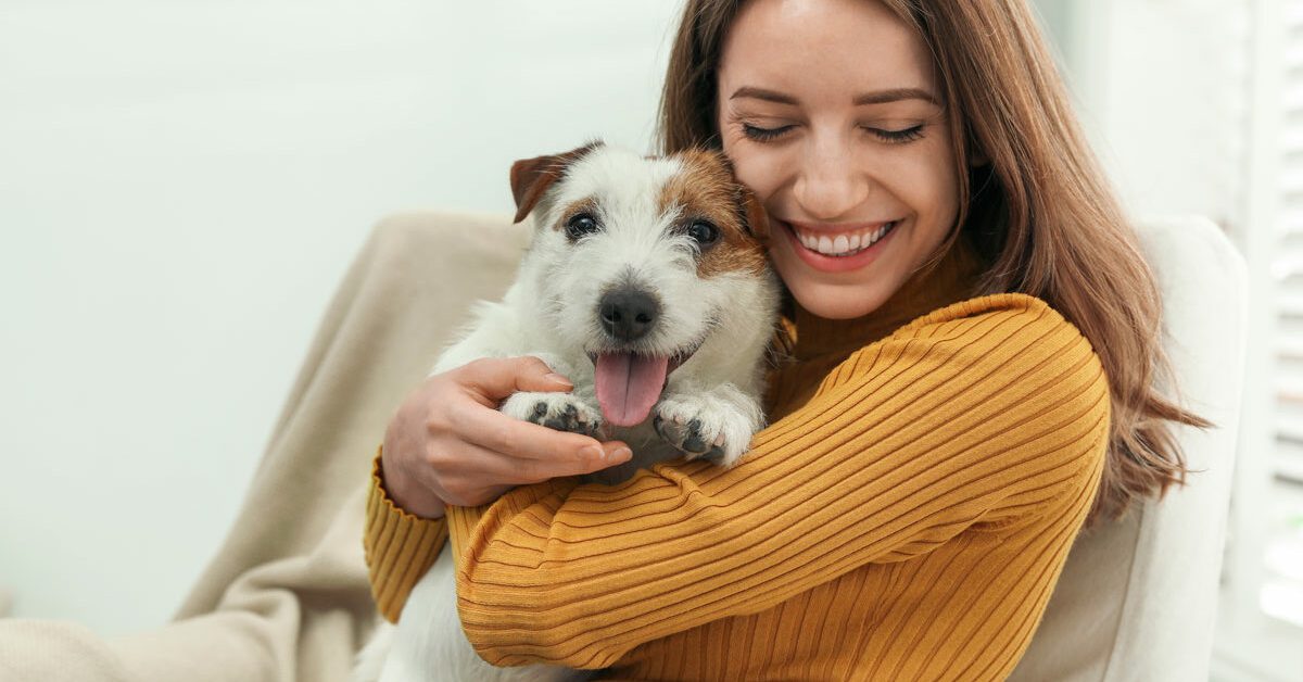 ayuda animales personas felicidad